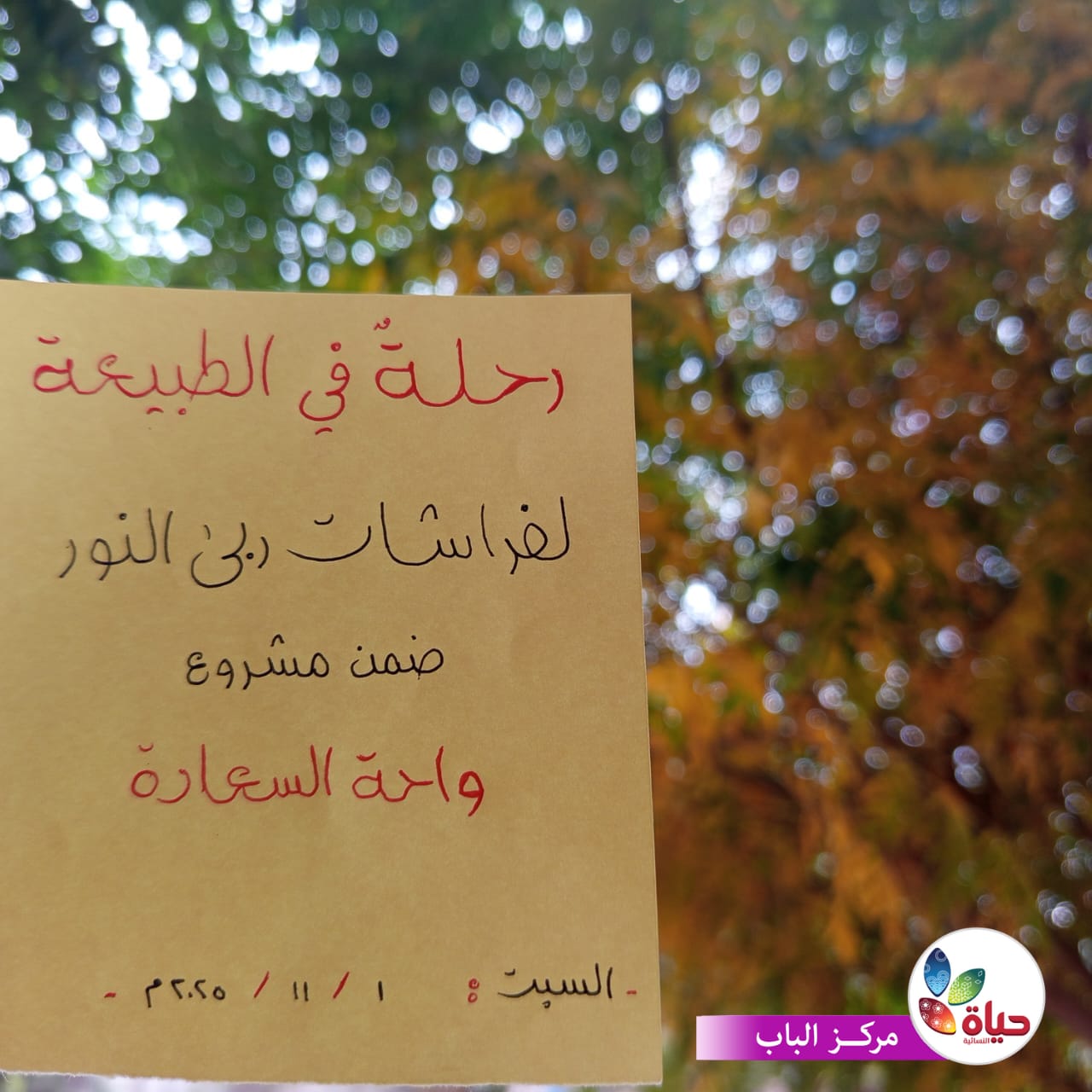 أنشطة تفاعلية متميزة لأطفالنا في مشروع واحة السعادة